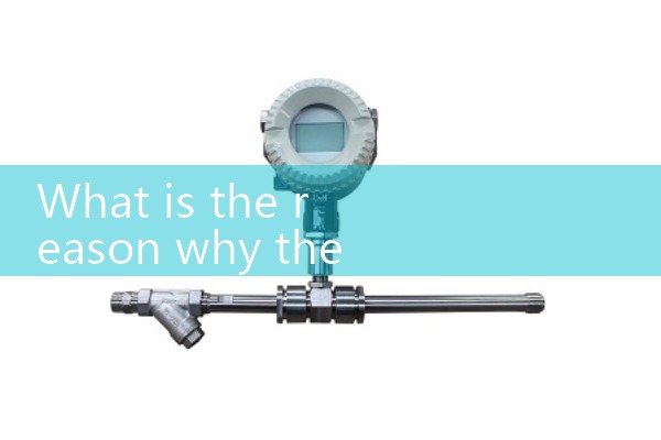 Pointer flowmeter